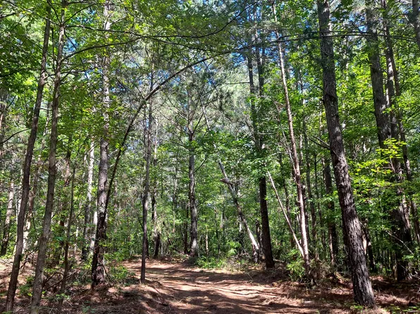 Albert Windham Rd, Nauvoo, AL 35578