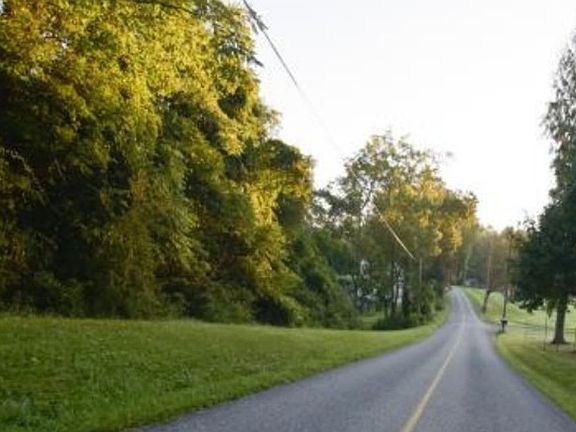 Exterior Neighborhood (street photo)