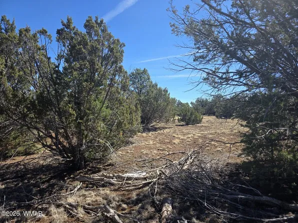 88 N3131, Vernon, AZ 85940