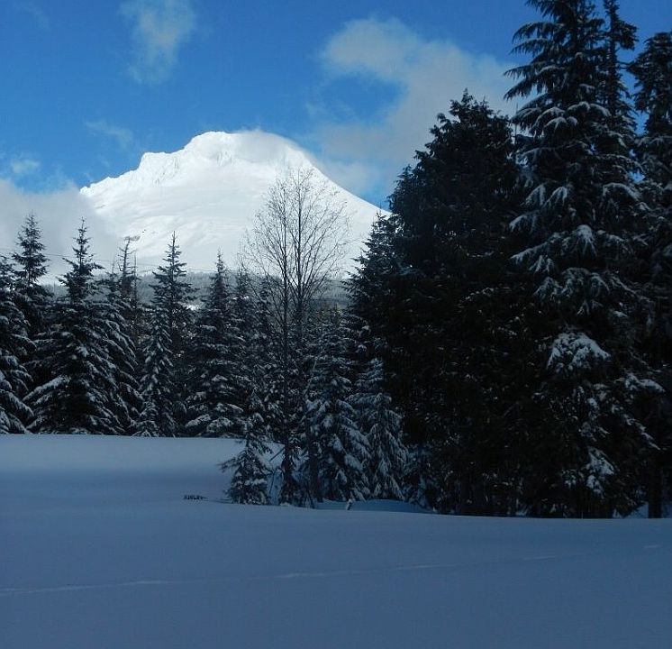 1st image of 87262 Macartney Ct Lot 6