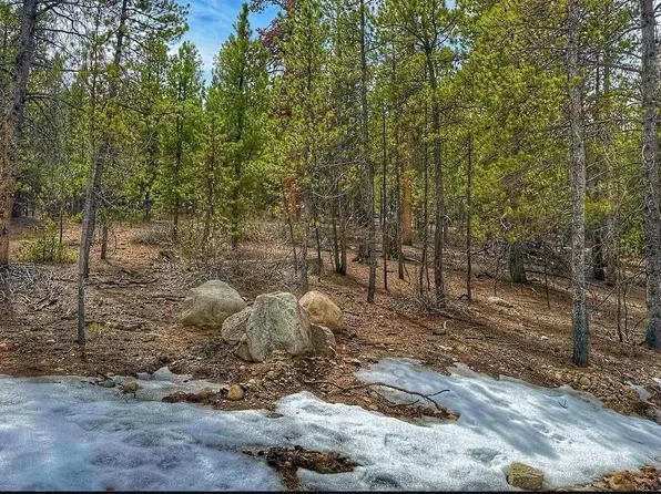66 Mount Massive Road, Twin Lakes, CO 81251