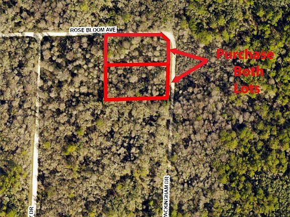 4th image of 33464 Packingham Dr