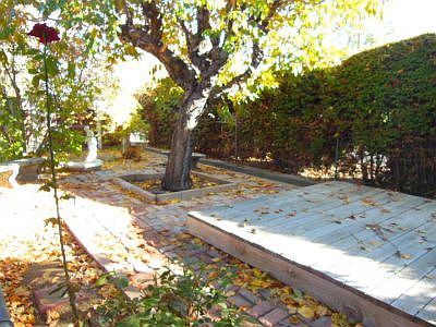 Pretty Yard