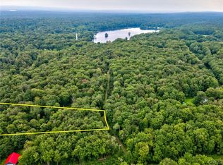 0 Wellnitz Dr #55, Altmar, NY 13302