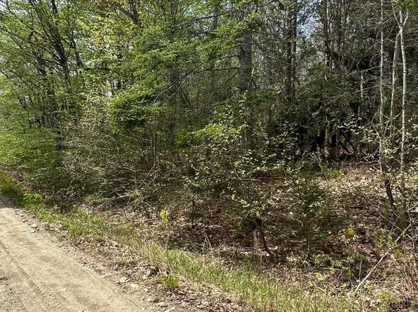 Lot 2 Morse District Road Road N, Steuben, ME 04680