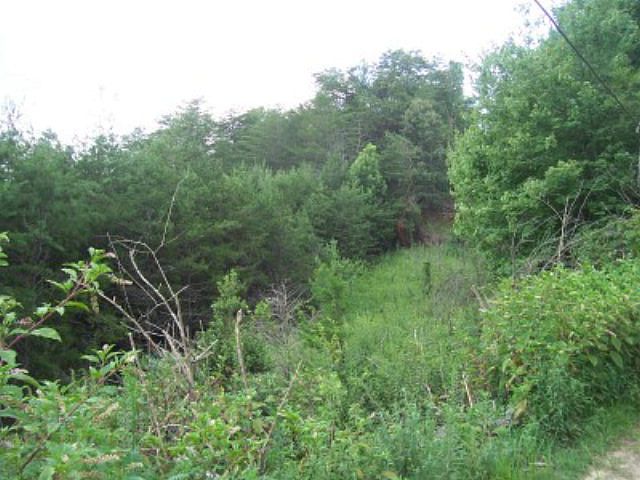 2nd image of 2061 Riverbend Rd