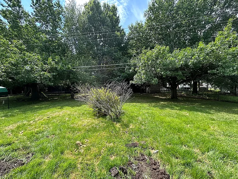 718 Falconer Rd — Photo 19