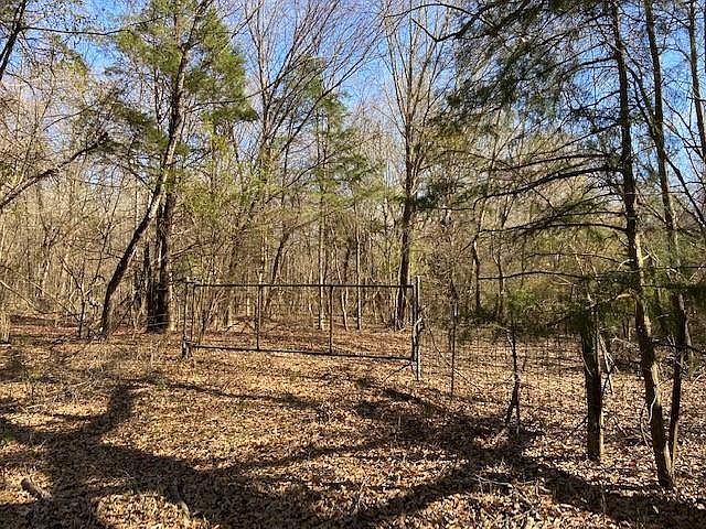 1st image of 100ACR E County Road 3311