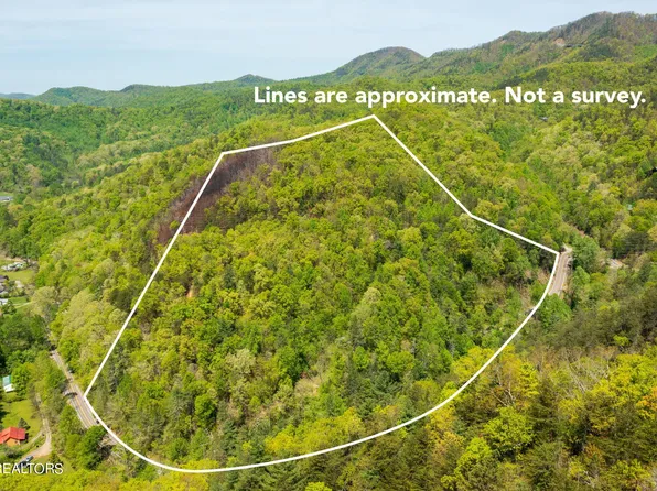 1015 Wears Valley Rd, Townsend, TN 37882