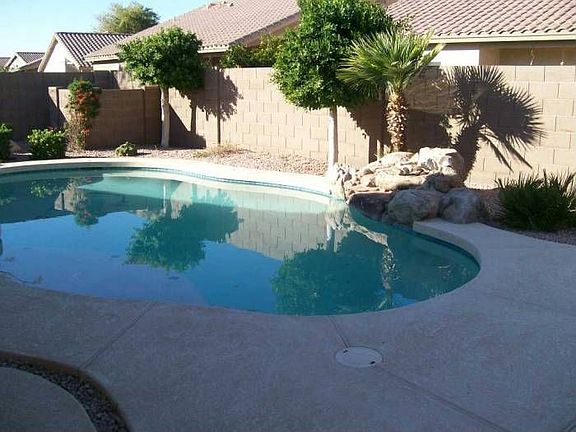 pool and backyard