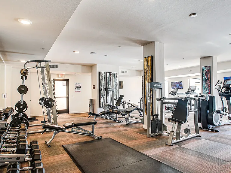 Cays Gym