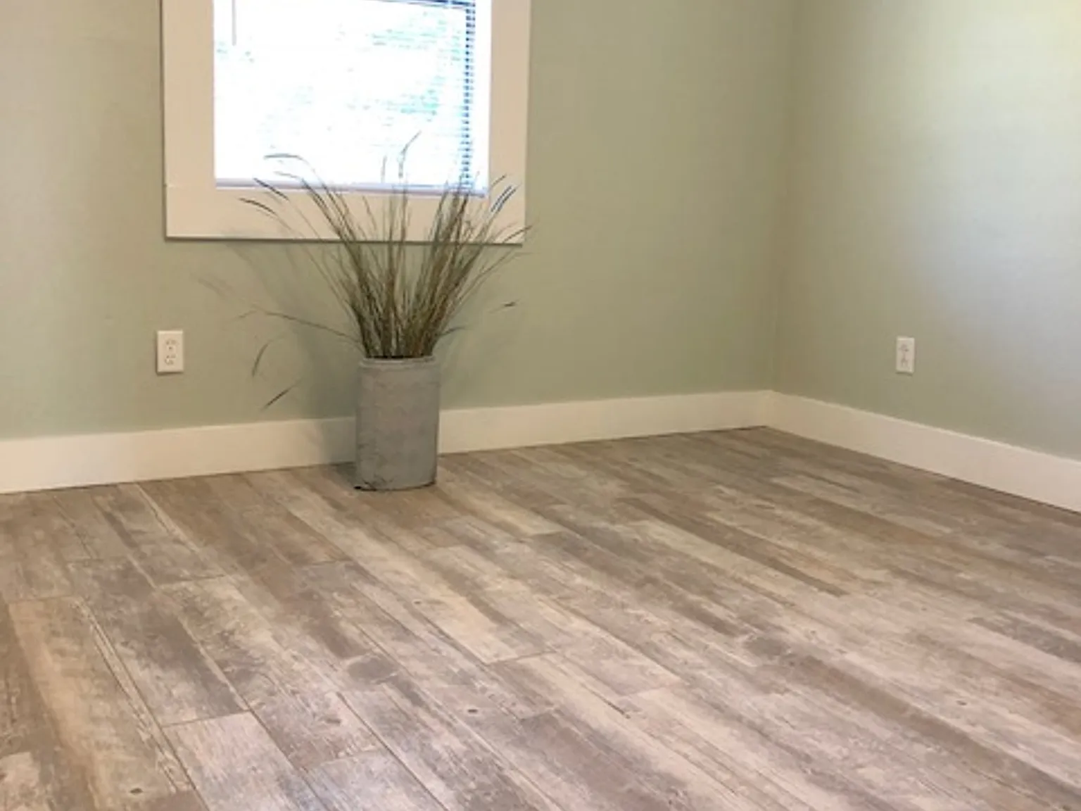 Pine Haven - 1 — Photo 3