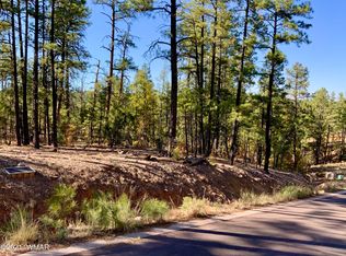 2450 S Hidden Ridge Trl, Show Low, AZ 85901