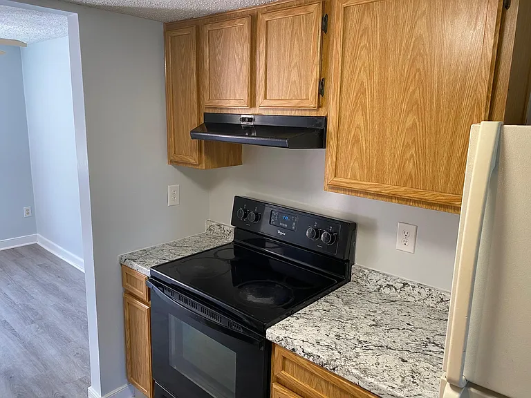 9732 Springfield Woods Cir — Photo 13