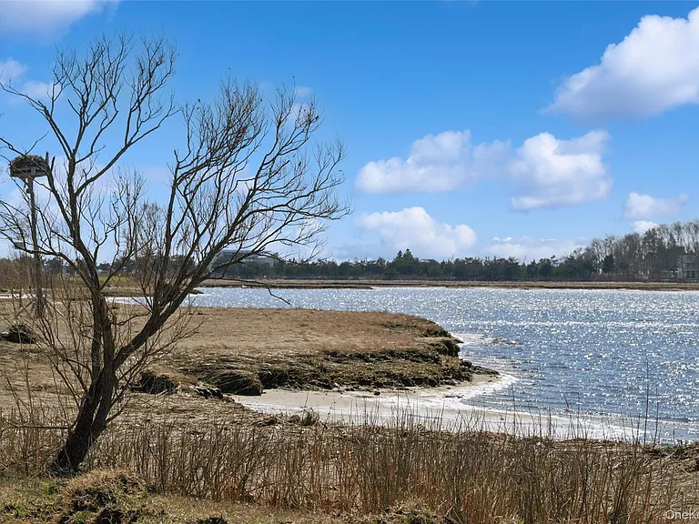 250 Oak Rd — Photo 20