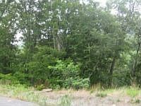 1st image of 9725 Woodcliff Ct
