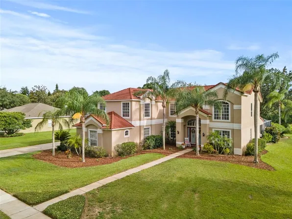 13702 Dowling Ln, Odessa, FL 33556