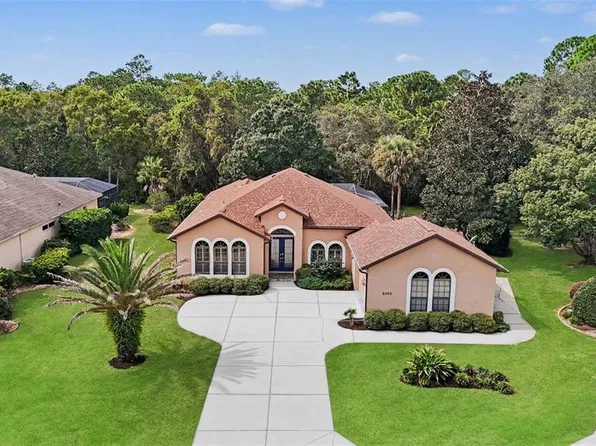 8405 CHARLESTON DRIVE, WEEKI WACHEE, FL 34613