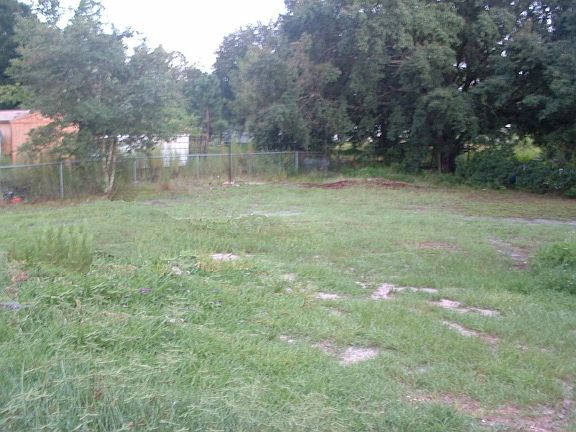 backyard of the 1/2 acre lot