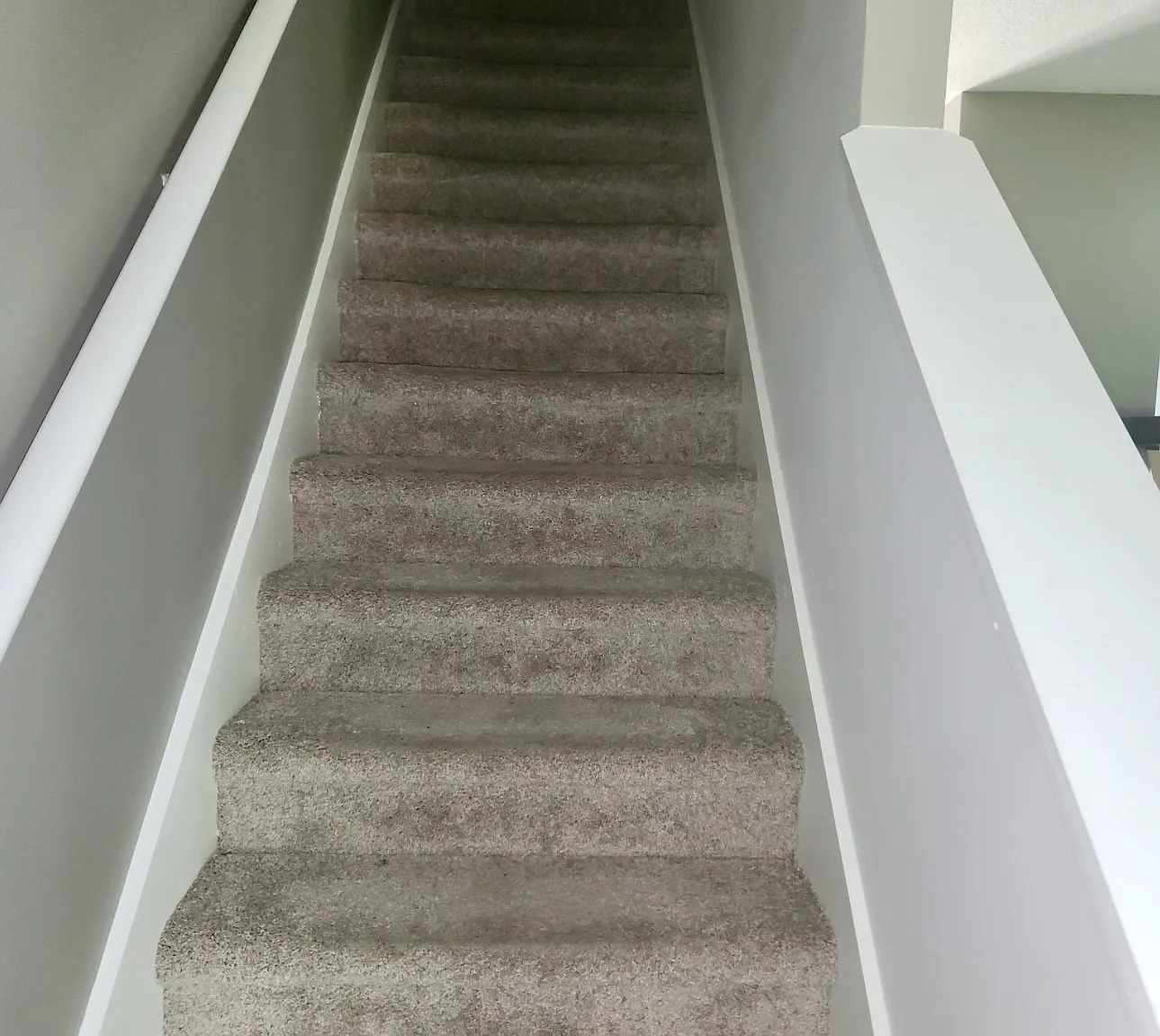 2328 Bigwood Trl — Photo 4