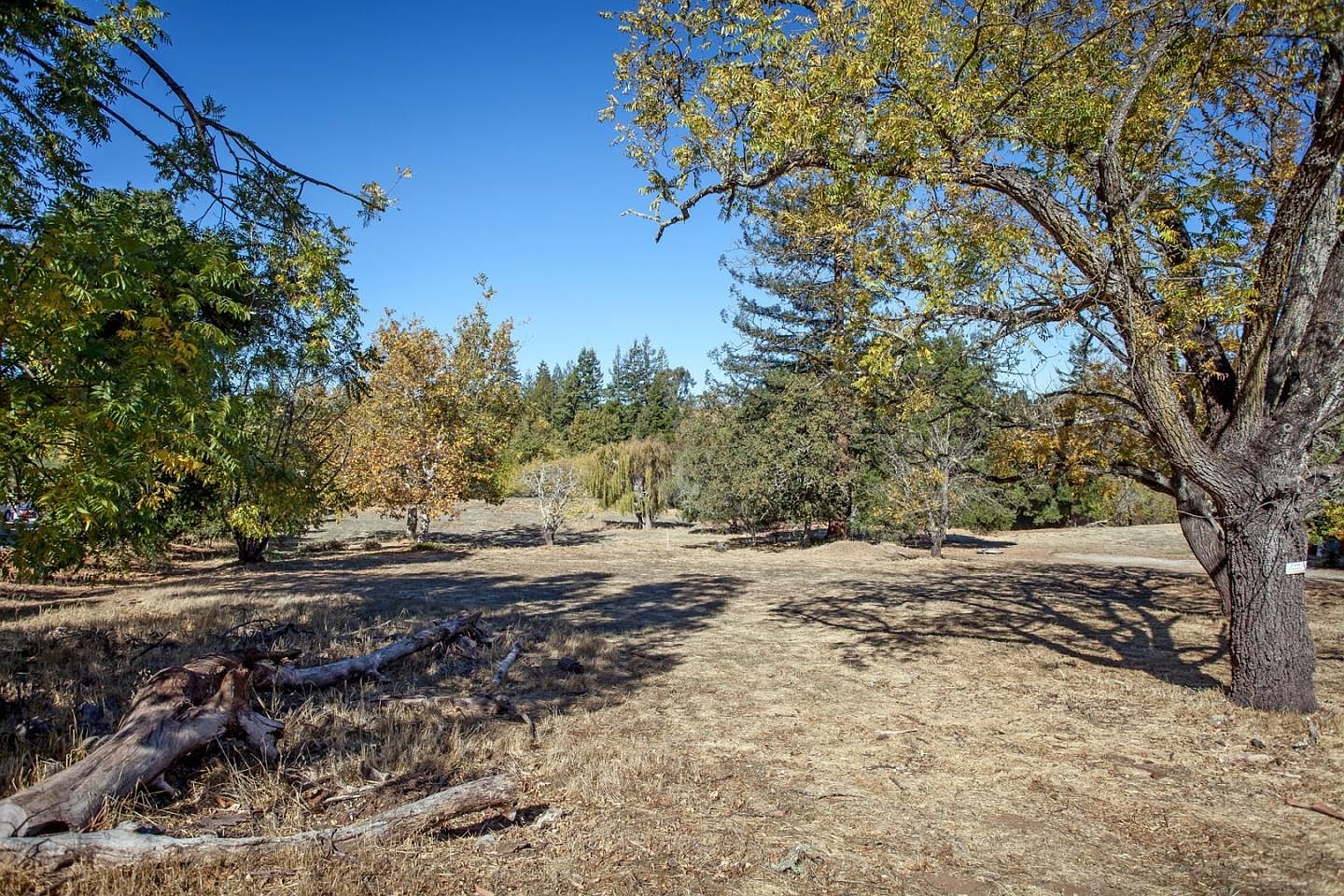 4394 Alpine Rd, Portola Valley, CA 94028 Zillow