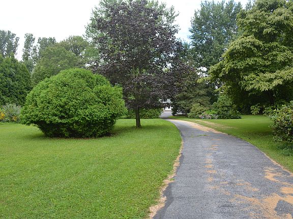 View from Street