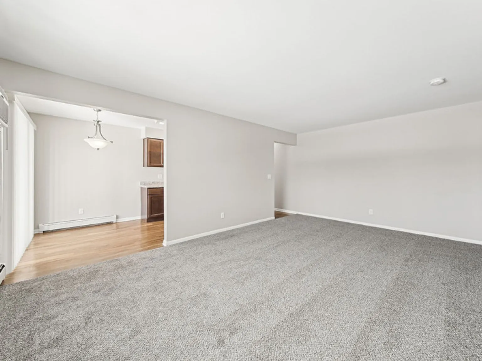 Williamsburg Apartments — Photo 4
