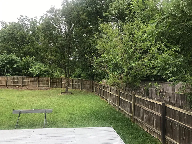 backyard & deck