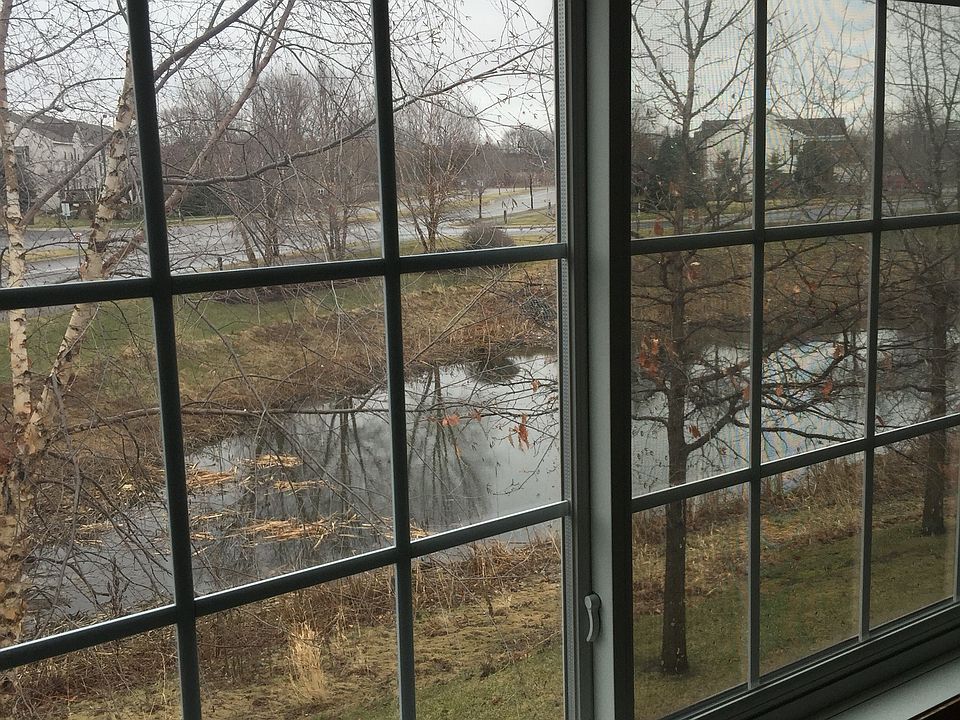 Nice pond view