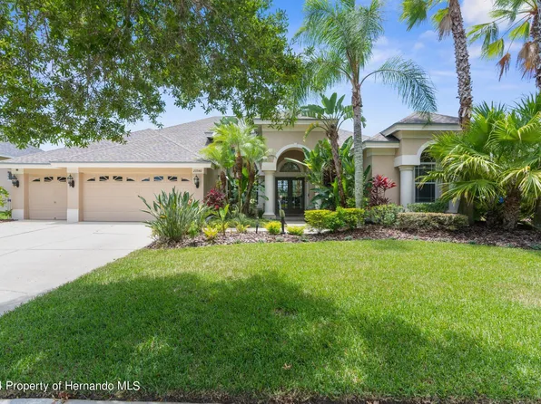 23340 Gracewood Cir, Land O Lakes, FL 34639