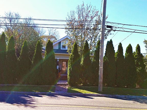 Privacy w/Arborvitae 