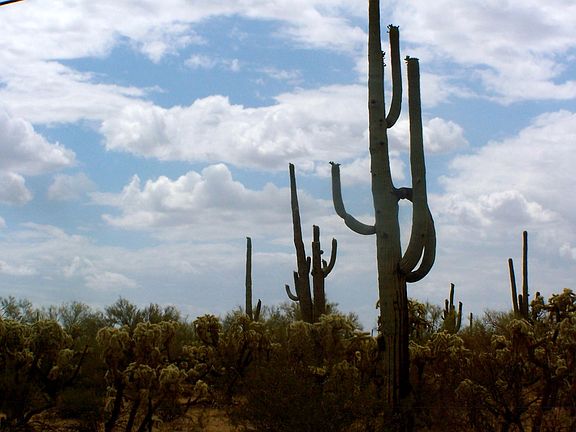 4th image of 35123 S Coyotes Ln E