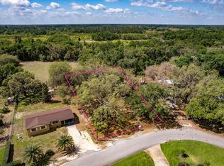 2230 Maxwell Ave LOT 10, Groveland, FL 34736