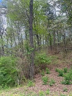 1st image of 2624 Hixson Pike