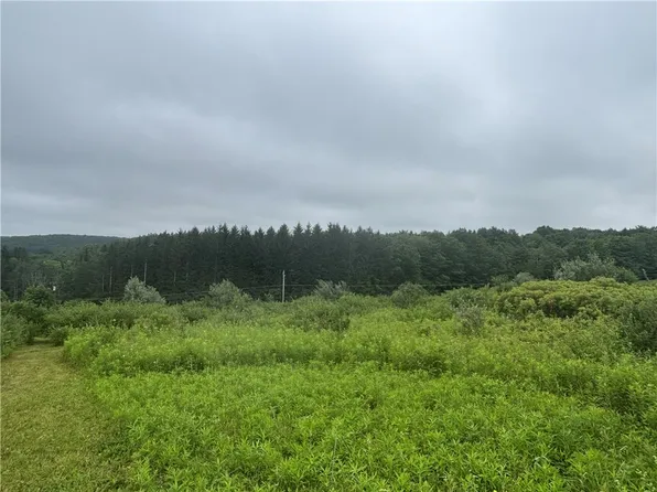 LOT 1 County Route 46 Lot 25, Dansville, NY 14437