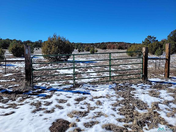 2nd image of 1 Jackass Ln