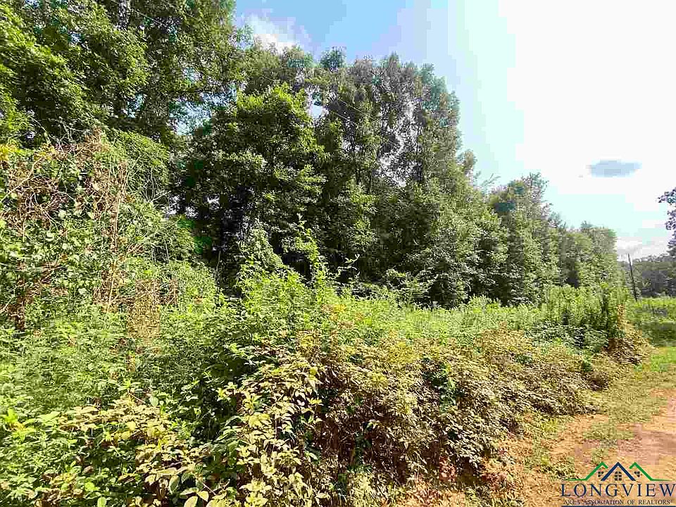 2nd image of County Road 2993