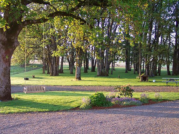 Oak grove in front of home