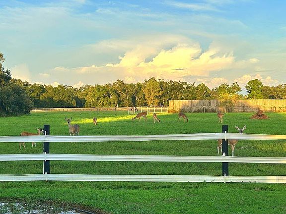 BACK PASTURE