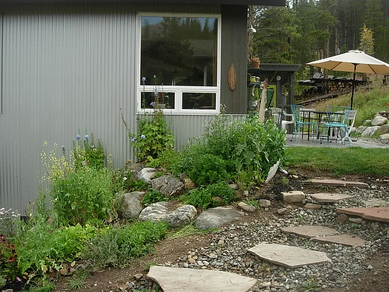 back patio in summer