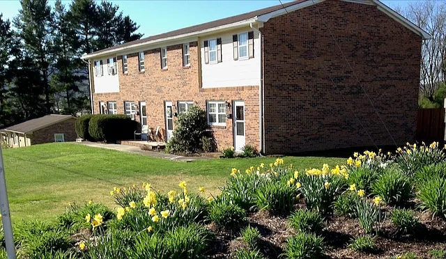 2 bed, 1200 sqft, $990 — Photo 2