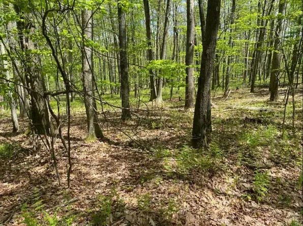 399 Bobolink Trl, Bushkill, PA 18324