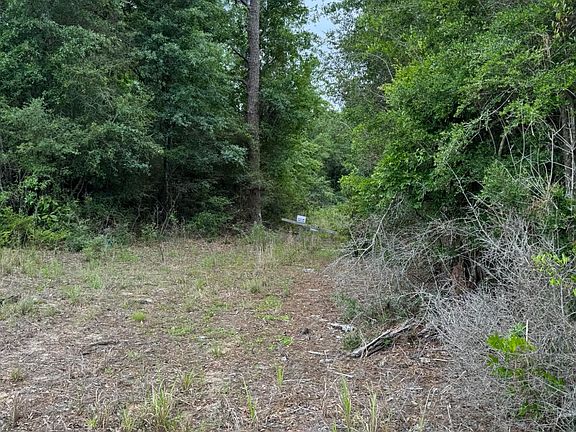 5th image of 115 Clarks Landing Rd