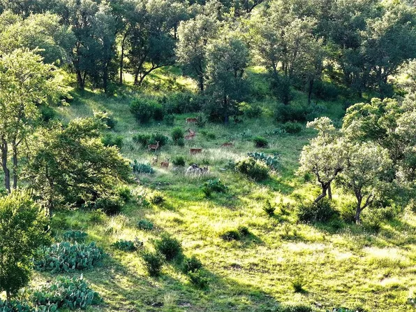 4 County Road 220, Briggs, TX 78608