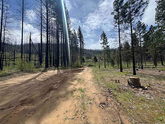 5th image of 319 Round Valley Rd