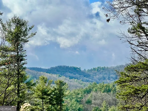 0 Stanley Creek Rd, Cherry Log, GA 30522