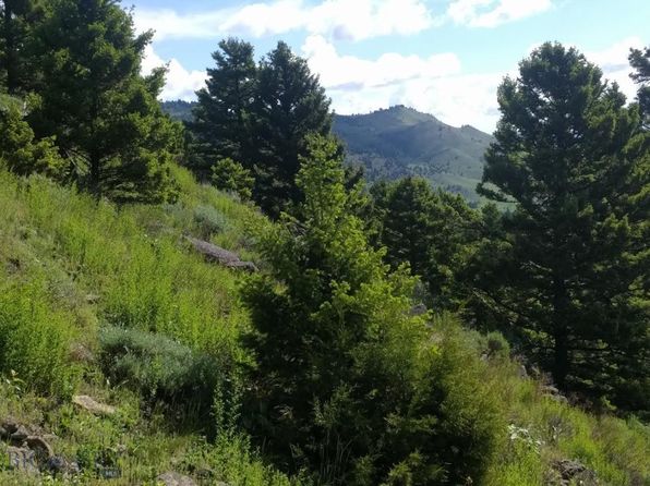 4 Sunflower Ln, Livingston, MT 59047