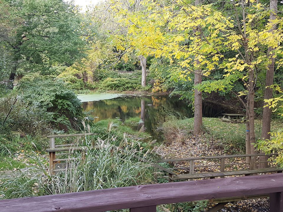 Serine pond view 