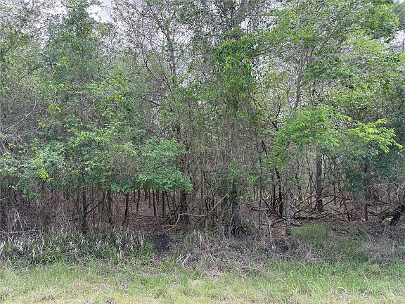 3rd image of 305 Nene Ln