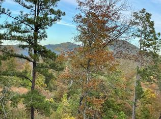 850 Jones Cemetery Rd, Calico Rock, AR 72519